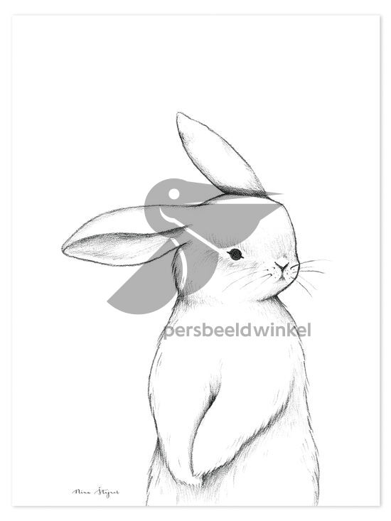 Poster - Hello Bunny