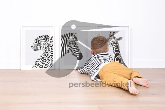 Poster Zebra, luipaard, giraf