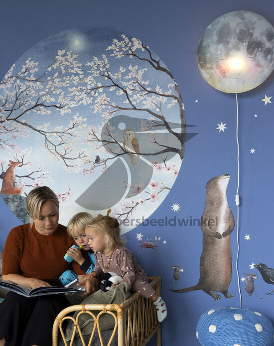 Kinderboek en muurdecoratie Hartendief