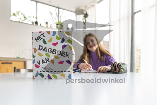 BOZ-Boek Stichting Dapper Kind