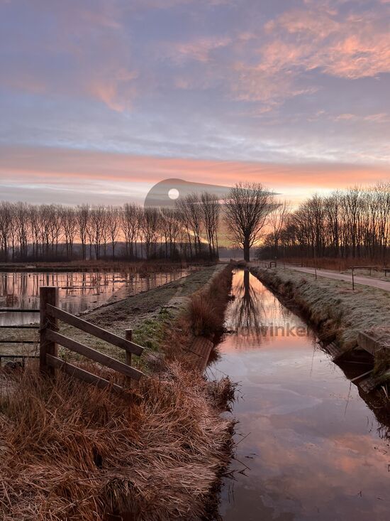 Winter in de Biesboschlinie | Het Pompveld, Andel